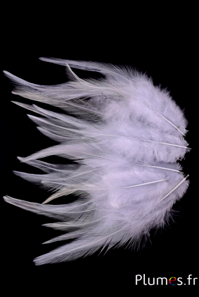 Coq - 8-12 cm - gris